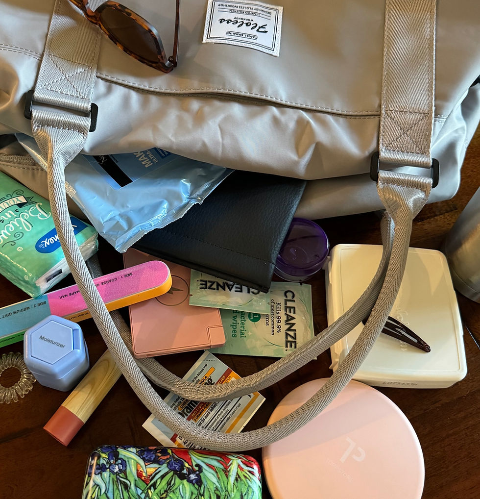 Purse content items and personal necessities