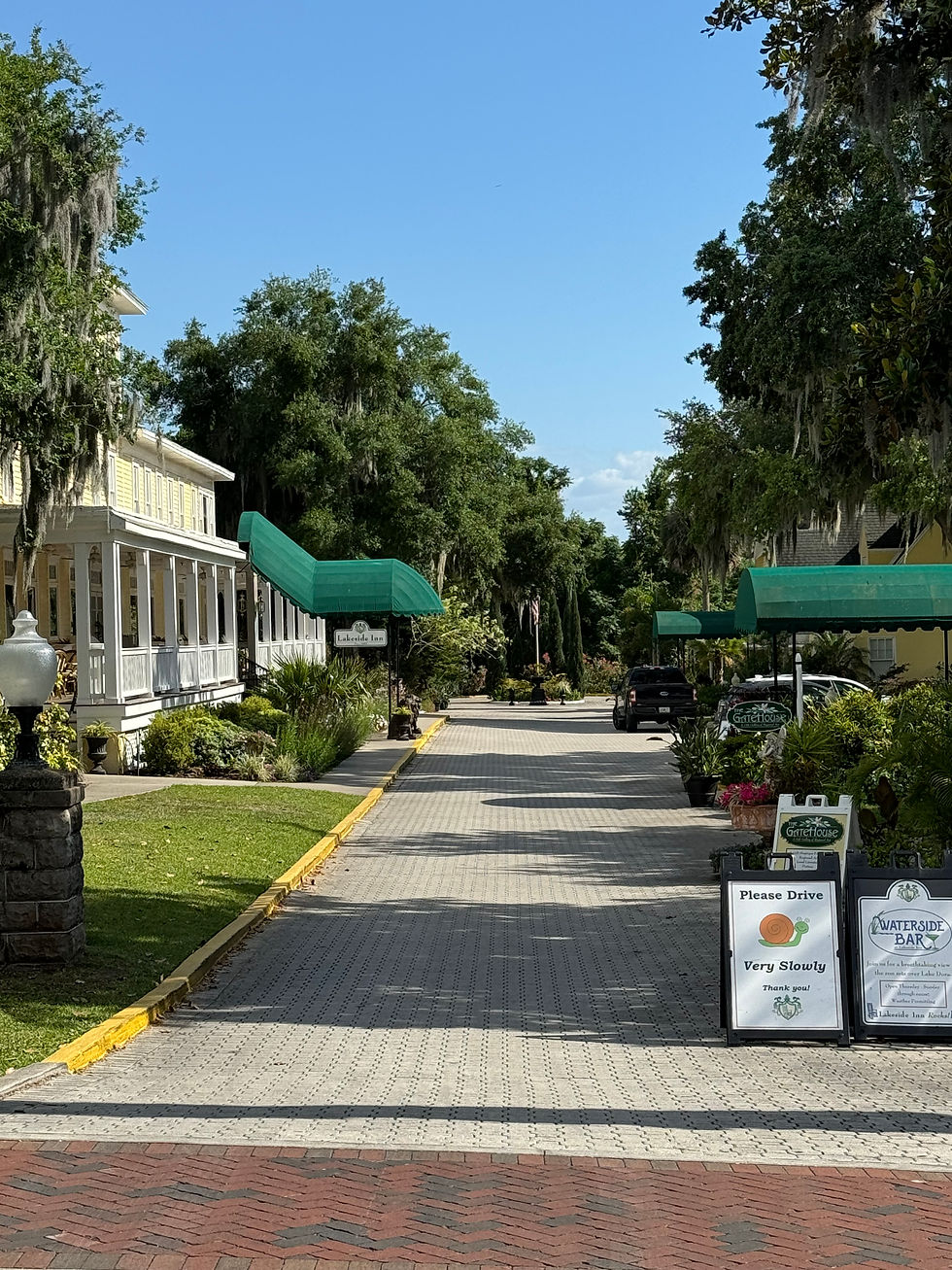 A sunny street lined with trees and buildings, green awnings, and signs saying "Please Drive Very Slowly" and "Waterside Bar."