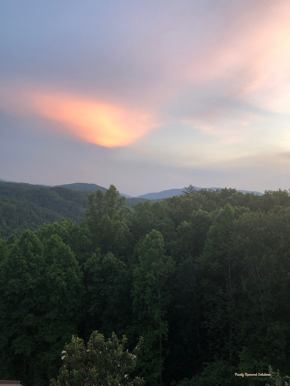 Sunset over lush green forest and hills, with a soft pink and orange glow in the sky, creating a serene and tranquil mood in the Great Smoky Mountains.