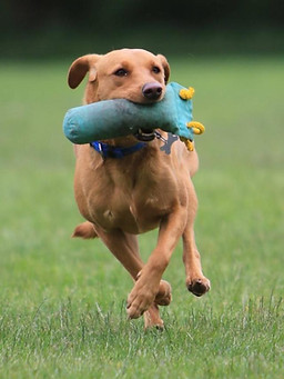 maartje and felicity 3.jpg