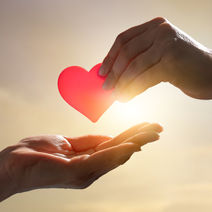 Make your Gift to DCBF by Year-End