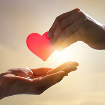 Make Your Giving Tuesday Plan Today