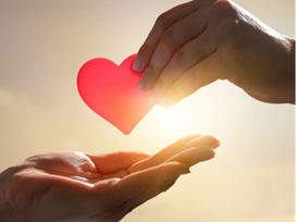 Make Your Giving Tuesday Plan Today