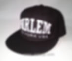 Vietnam Flat bill cap