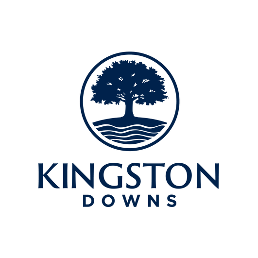 Kingston Text & Logo Blue RGB (transparent bg).png