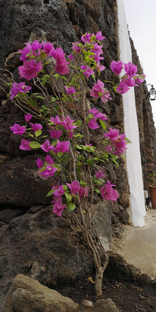 PHOTO-2023-02-27-15-34-44 3.jpg