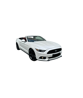 FRKF Signatures (13 × 8.5cm) (10).png