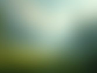 Crafting Immersive Worlds: Video Game Design Essentials