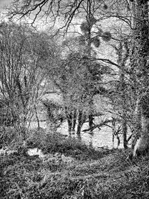 Moods of a stream valley