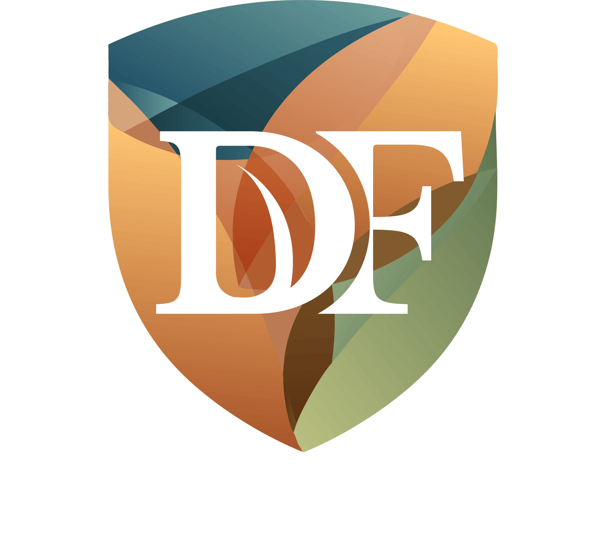 DF Solutions company logo