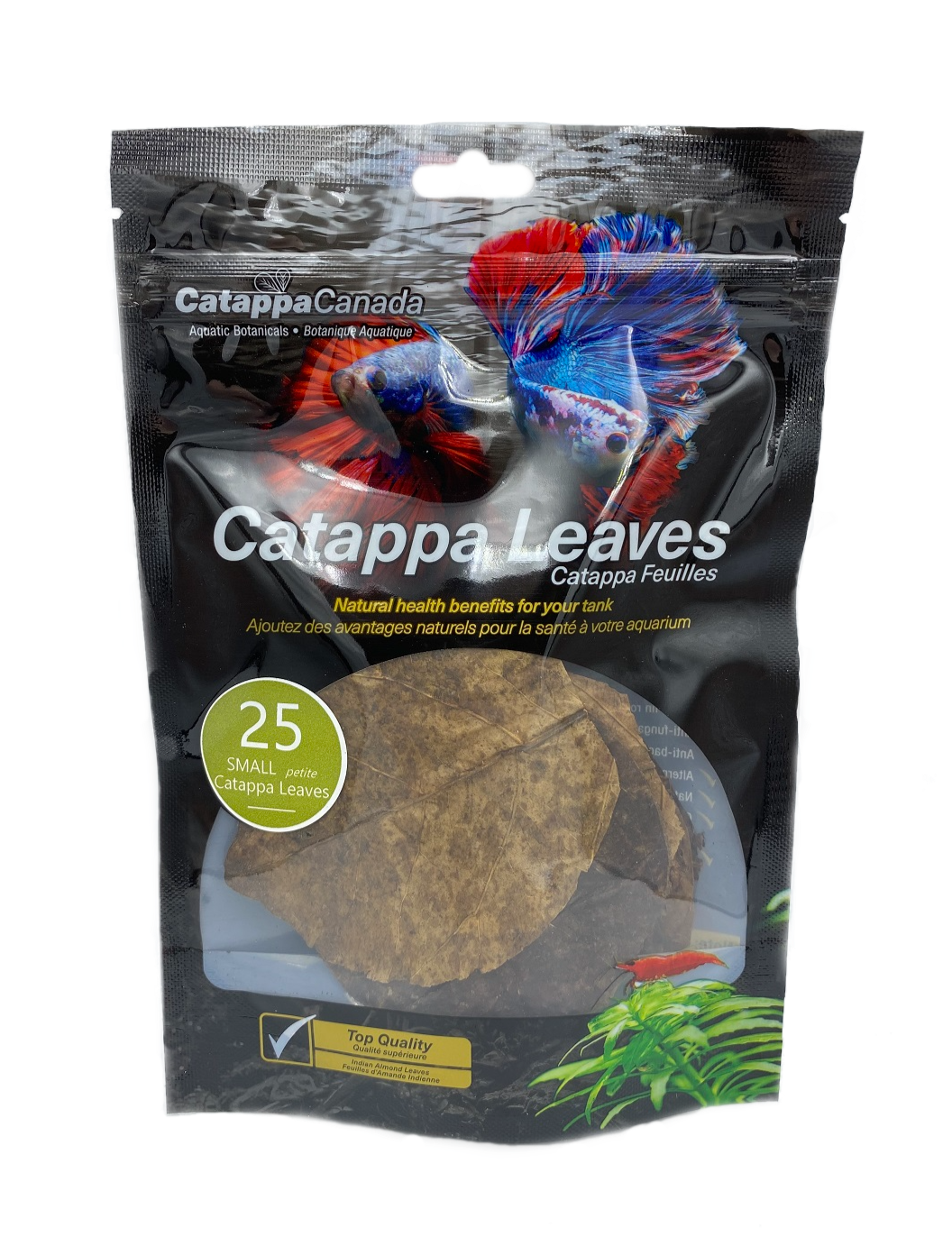 25 small Catappa Leaves (3"- 4")
