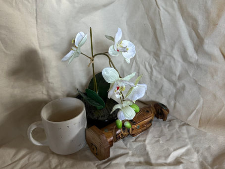 Progress: Still Life #1