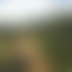 Thinking of “Trying” Asturias First?