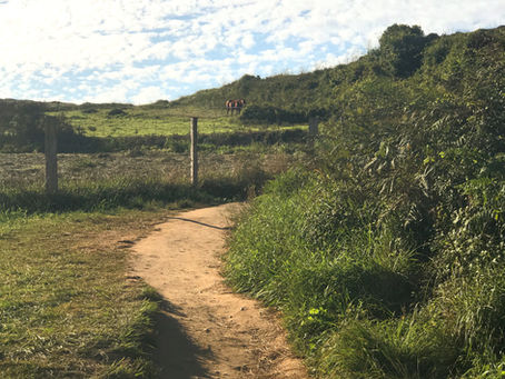 Thinking of “Trying” Asturias First?