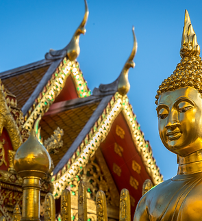 Design sem nome (17).png