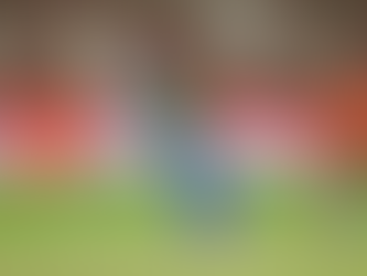 Lewis Gregory stuns Multan Sultans with a masterful knock