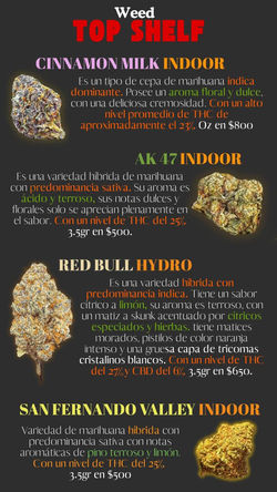 31e34578-5054-42be-b334-e5eca3cee44a