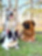 tubbs%20%2B2_edited.jpg