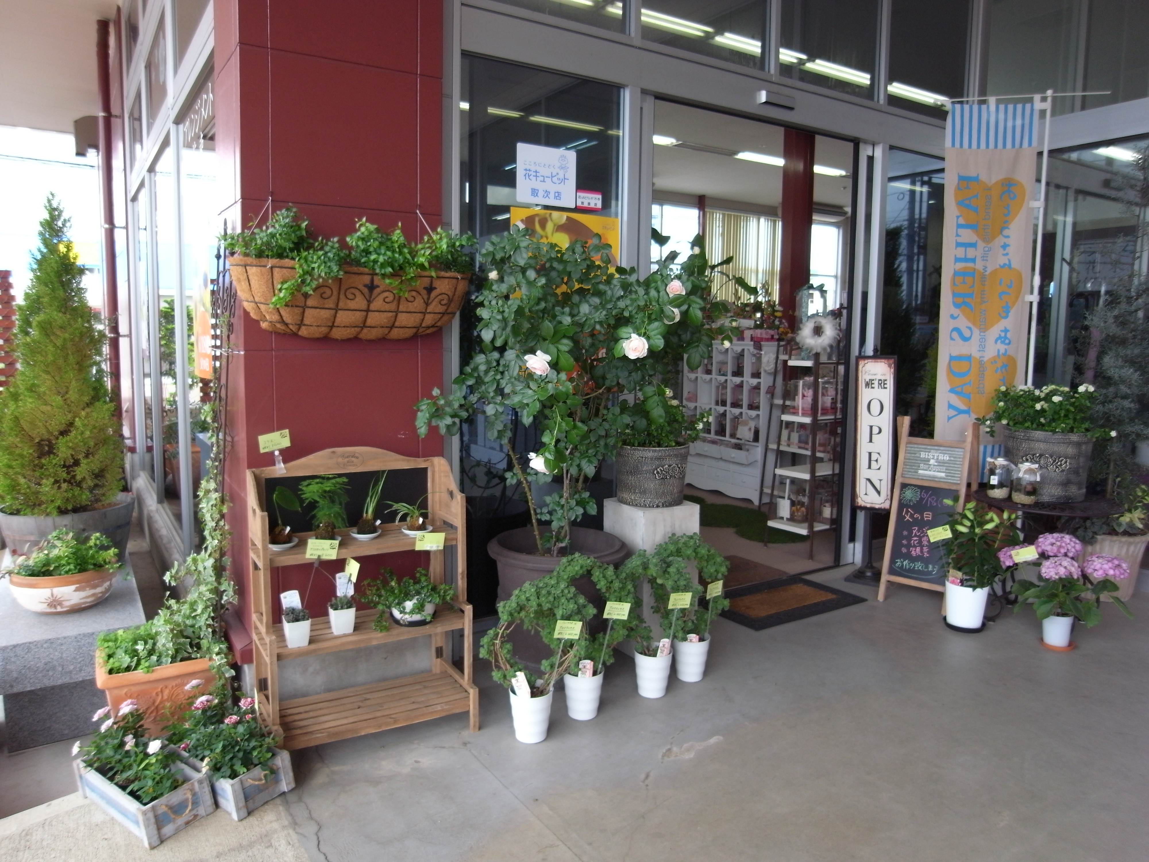 三条市 燕市 花屋 花水木 はなみずき ホームページ