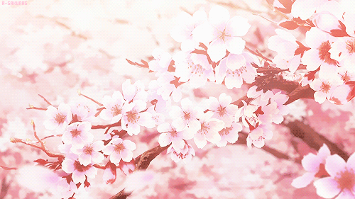 472b717b5c0222fbc76c9ed19b0c4cbb.gif