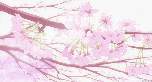 60ddfcd550dfc26951e4c5a79697b964.gif