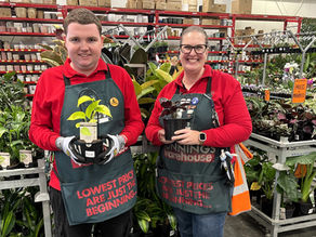 Brayden completing NDIS-supported work experience at Bunnings Bellambi, standing with a Bunnings staff member and holding plants in the garden section.