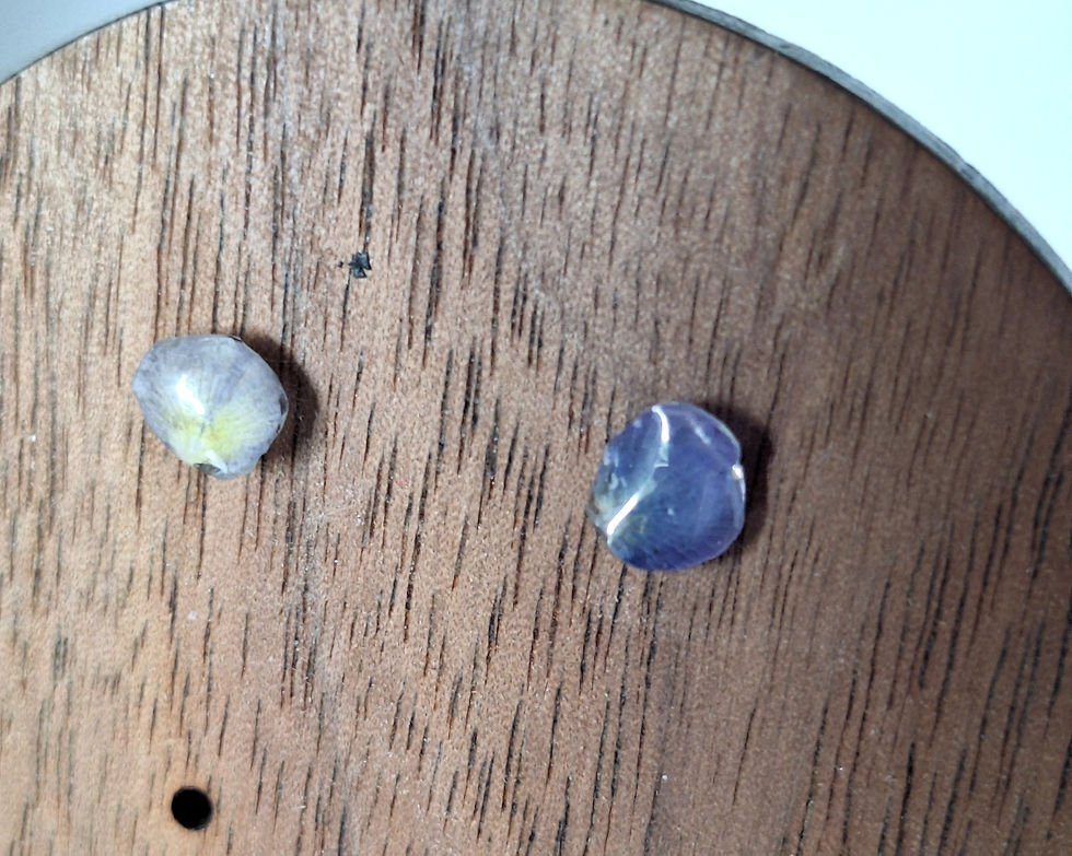 Tiny Delphinium Stainless Steel Stud Earrings