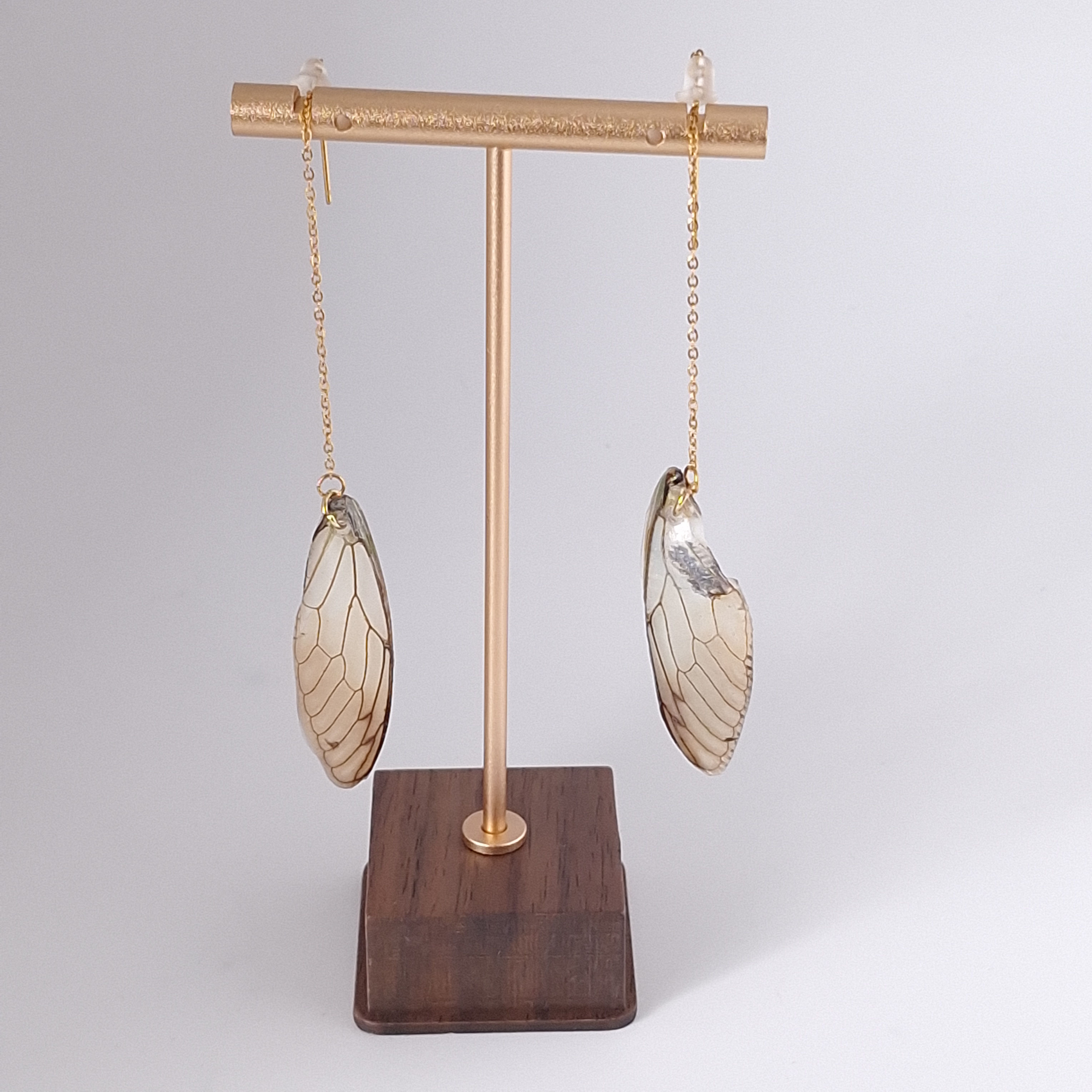 Preserved Cicada Wing Threader Earrings