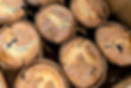 Muffins image