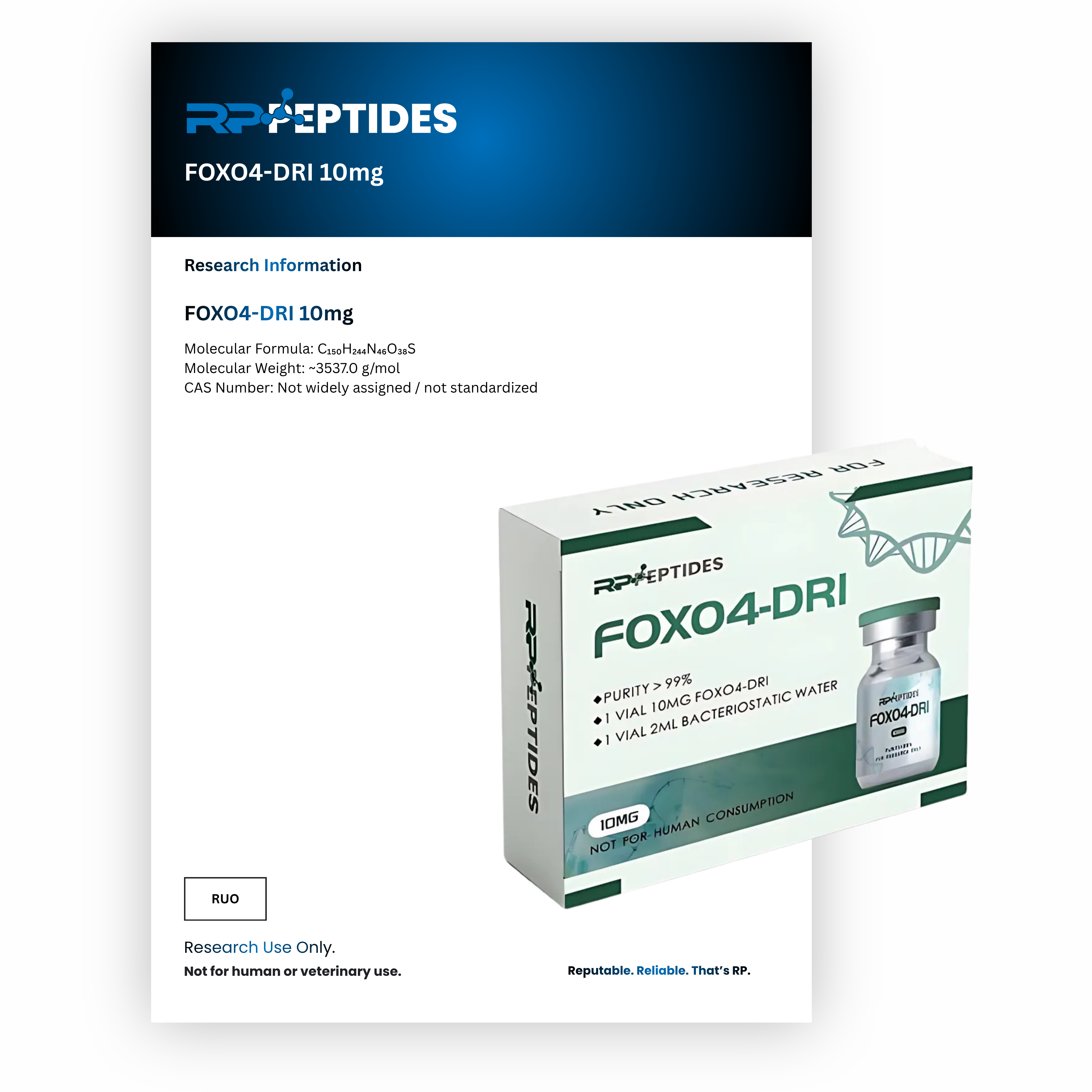 FOXO4-DRI 10mg : Research Only