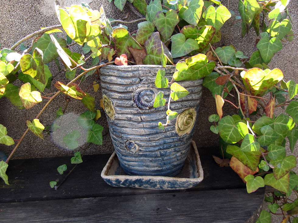 Flowerpot with sea snails