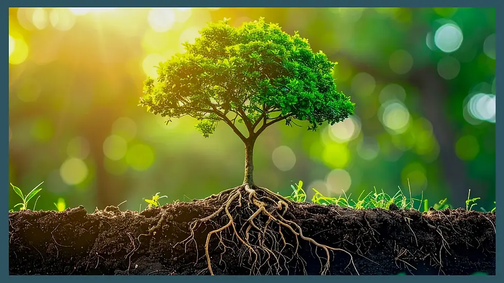 A tree with lush green leaves and visible roots is set against a sunlit, blurred green background, conveying a sense of growth and vitality. This represent growth in Leadership and management