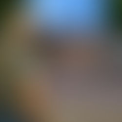 Serviço de segurança da igreja em Mossoró