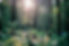 jacek-smoter-guhKZly2fVM-unsplash.jpeg