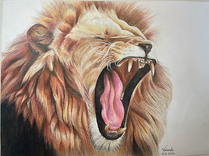 Roaring lion