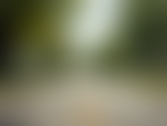 Finding Trustworthy Local Realtors Near You