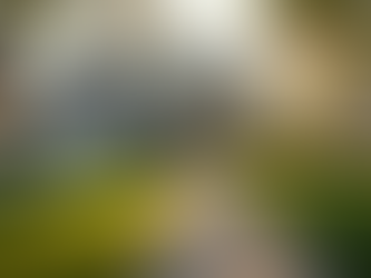 Exploring Real Estate Opportunities