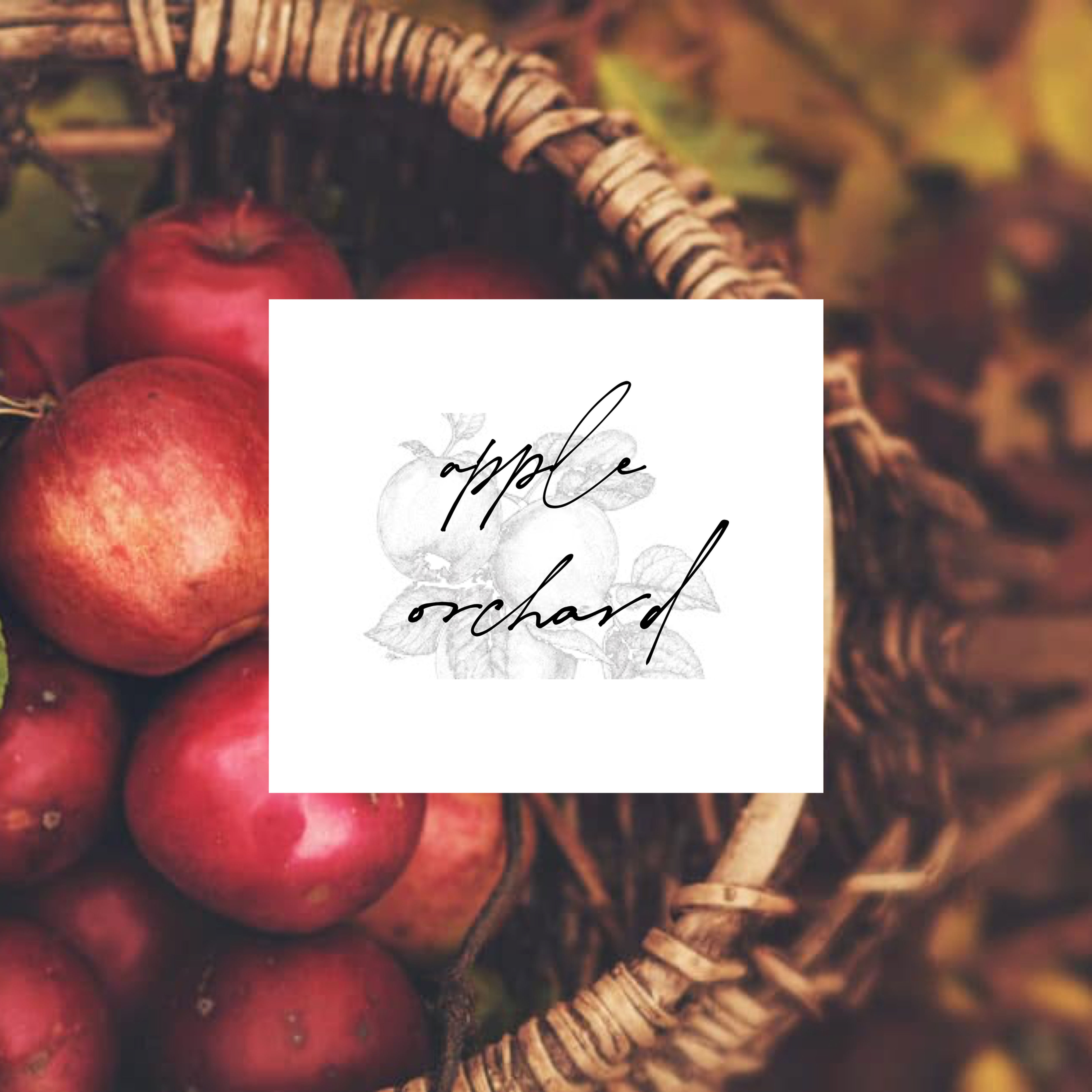 Apple Orchard Reed Diffuser