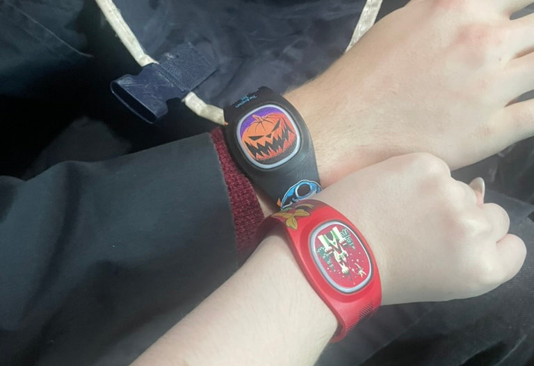 My boyfriend and my Magic Bands from last trip