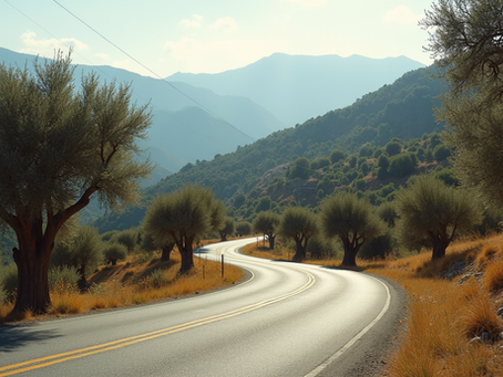 Unlock the Cycling Camp Benefits in Velefique