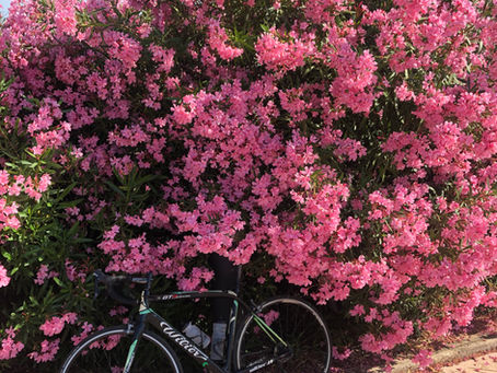 Cycling in Almeria - The next phase