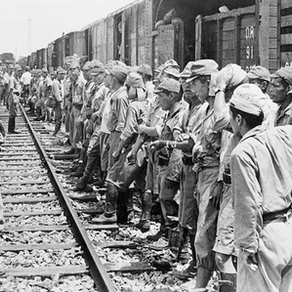 The role of the Japan Foundation in mending postwar Japan-Thailand relations