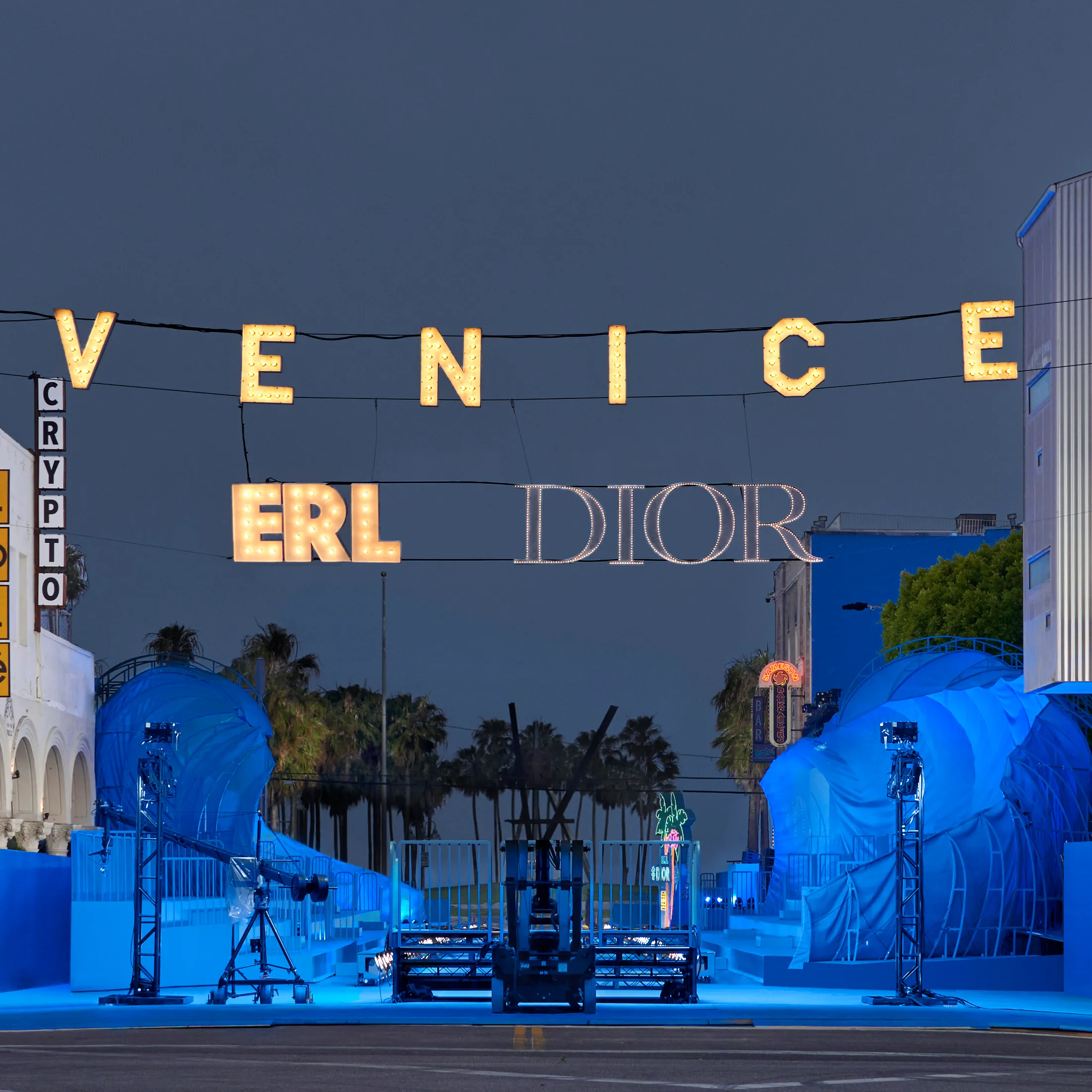 DIOR ERL.webp
