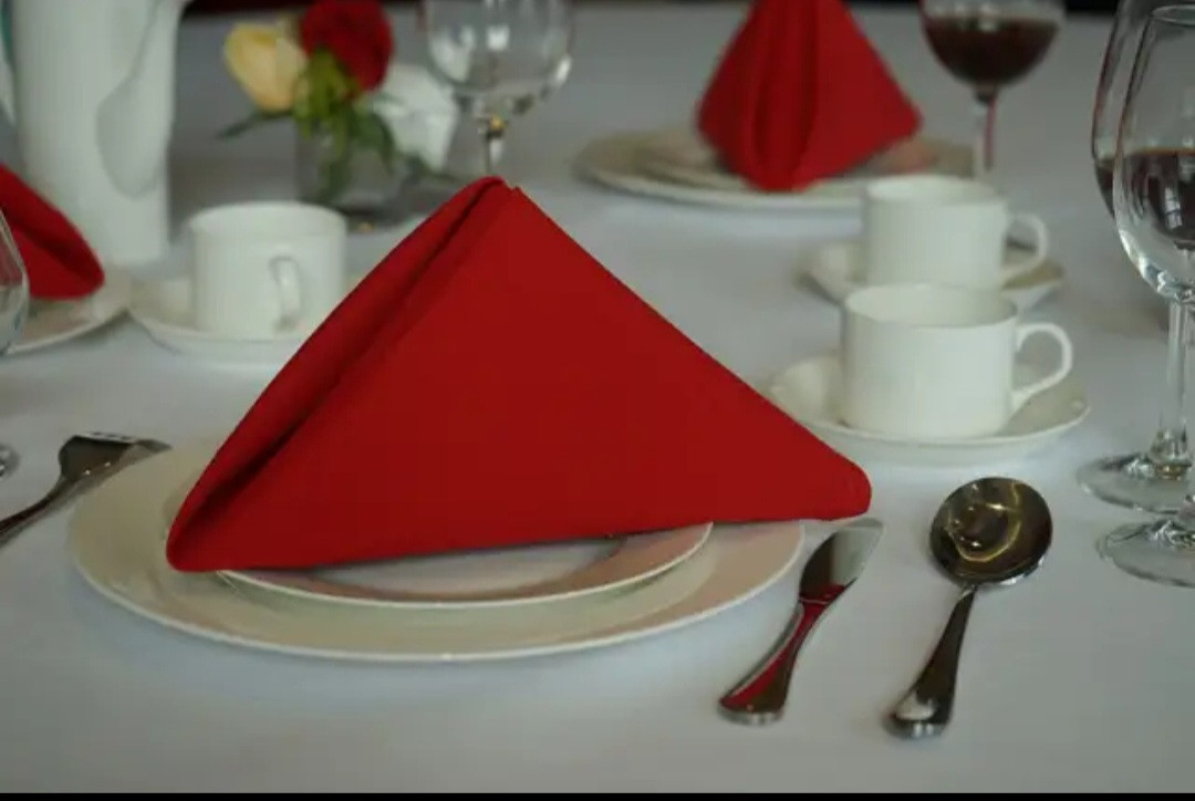 Polyester table napkins (rental only)