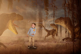 DiamondLightPhoto010 (1).jpg