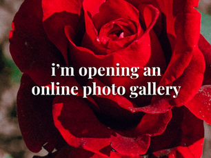 a photo of a red rose with the words "I'm opening an online photo gallery" in the middle of it