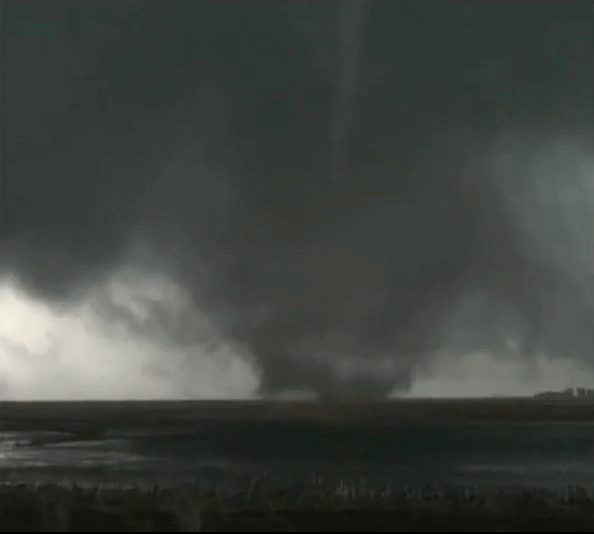 Online Reputation Tornado v6.gif