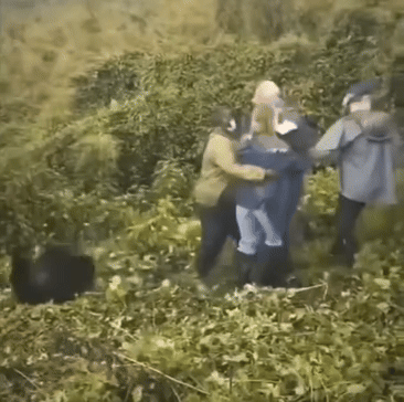 POV You Did Your Own SEO and Google Found Out Smaller gif - DataGorilla Marketing