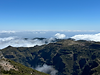 IMG_1064.HEIC