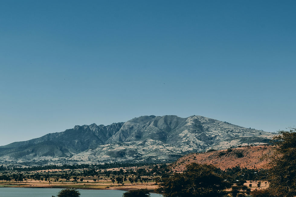 leti-tamrat-g3bNScWOV8g-unsplash.jpg